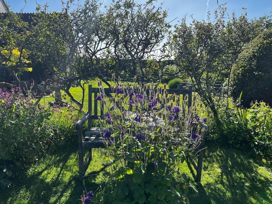 Byre - Farm Cottage On 9 Acre Equestrian Small Holding Σαλισμπέρι Εξωτερικό φωτογραφία